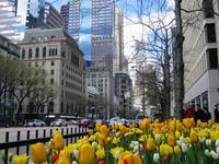 Magnificent Mile
