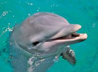 Miami Seaquarium