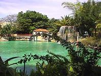 Coral Gables' Venetian Pool