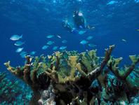 Biscayne National Park