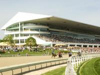Arlington Park