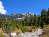 Mount Charleston