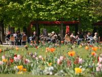Le Jardin des Tuileries