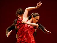 Flamenco Dancing