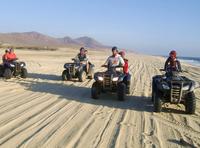 Cactus ATV Tours