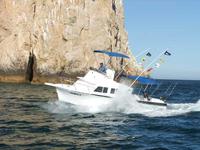 Juanita's Sportfishing
