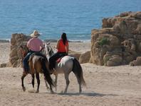 Cuadra San Francisco Horseback Riding