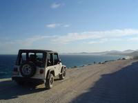 Baja Wild Jeep Safaris