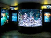 New England Aquarium