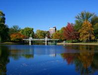 Boston Public Garden