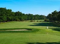 Blue Heron Pines