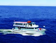 Atlantic City Cruises, Inc.