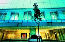 Hotel Seiyo Ginza