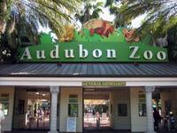 Audubon Zoo