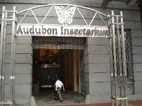 Audubon Insectarium