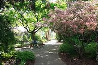Atlanta Botanical Gardens