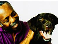 VIP Pet Services