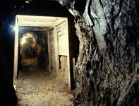 Reed Gold Mine