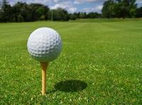 Charles T. Myers Golf Course
