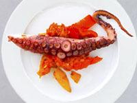 Zucca
