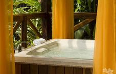 Arenal Nayara Hotel Spa and Gardens