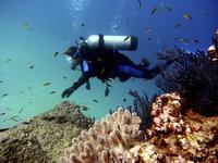 Scuba Diving