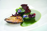 Aubergine