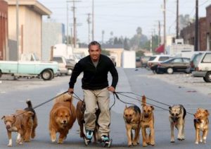 cesarmilan