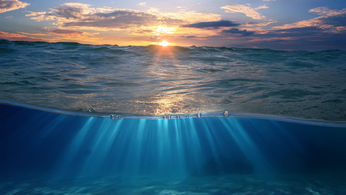 shutterstock_254981089