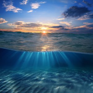 shutterstock_254981089