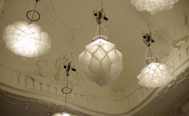 shylight1958909