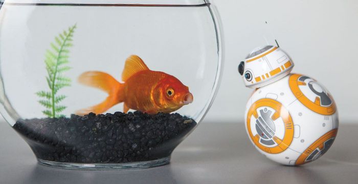 bb8starwars_1960826b