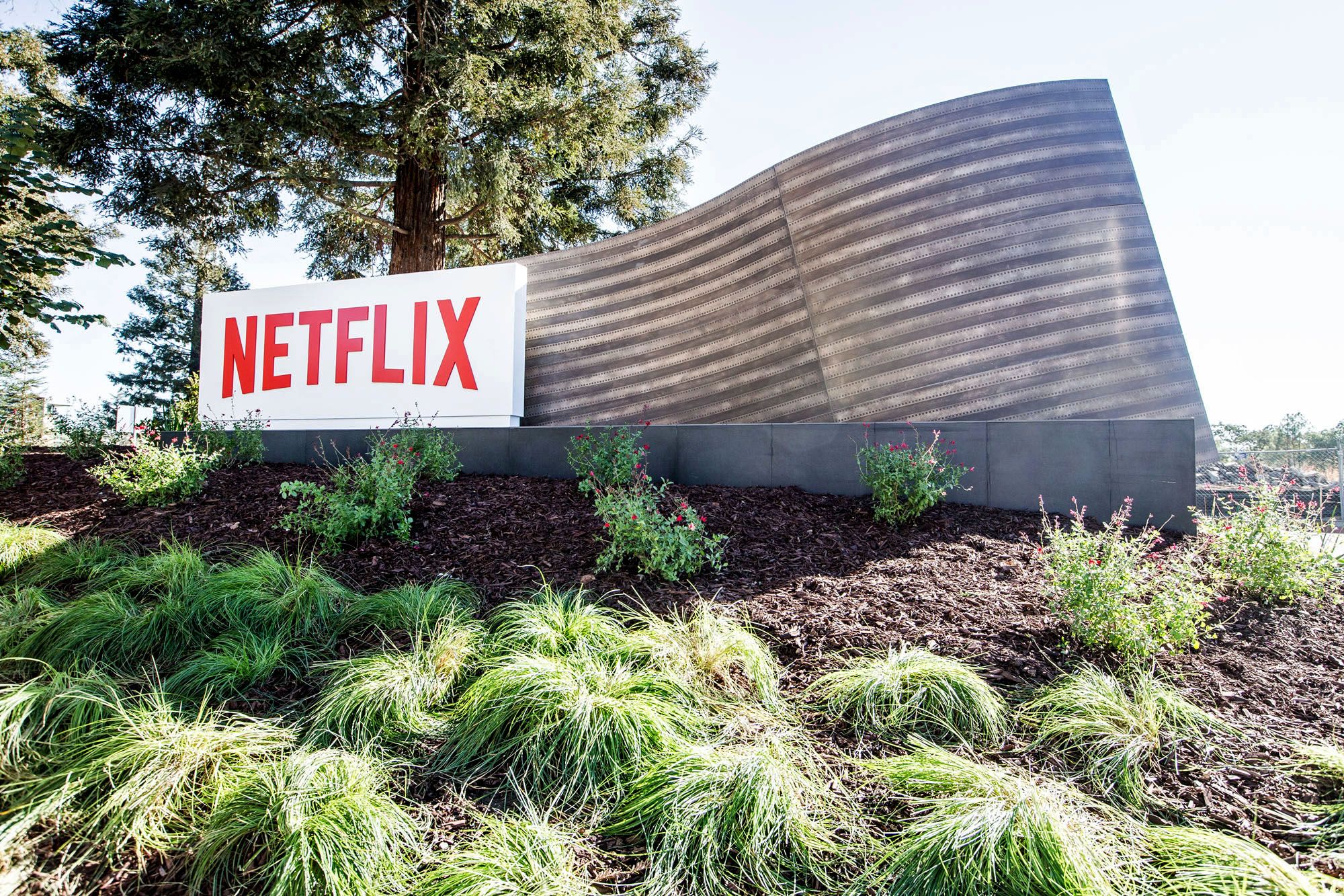 netflix1962447a