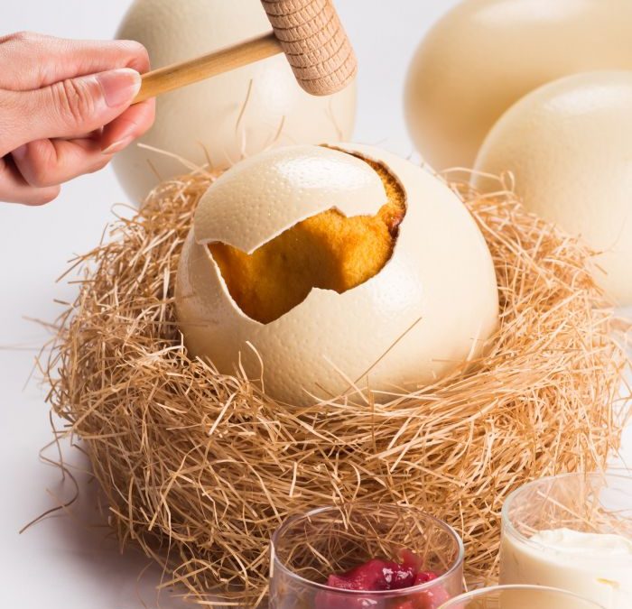 egg1963007b