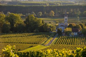 1996109_bordeaux1