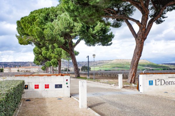 Entrance to Abadia Retuerta LeDomaine with vineyards and hills in the background, framed by towering trees under a cloudy sky.