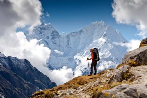 shutterstock_102634625