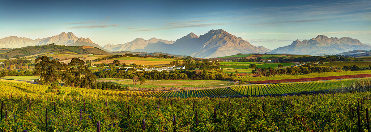 Stellenbosch-landscape