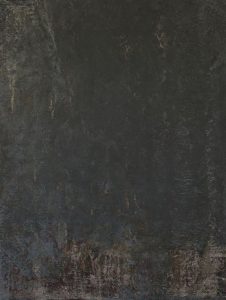 15048167254460