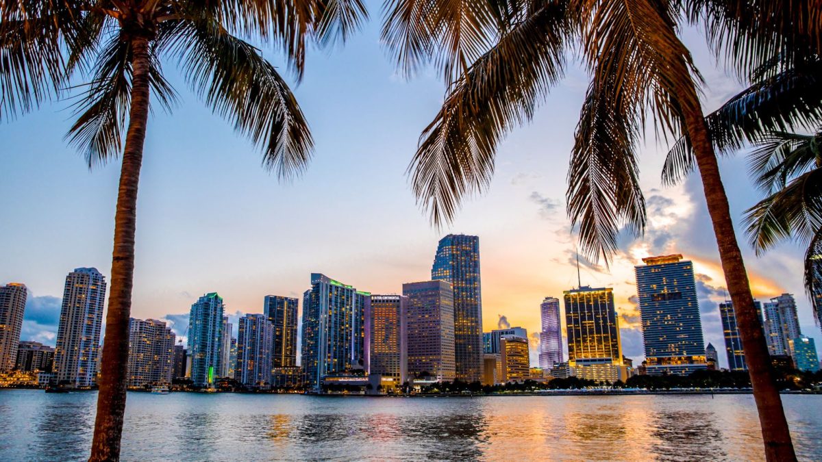 Miami skyline at sunset, framed by palm trees with reflections on the water in the foreground.
