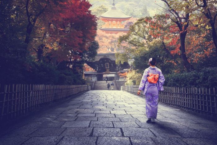 japan0110