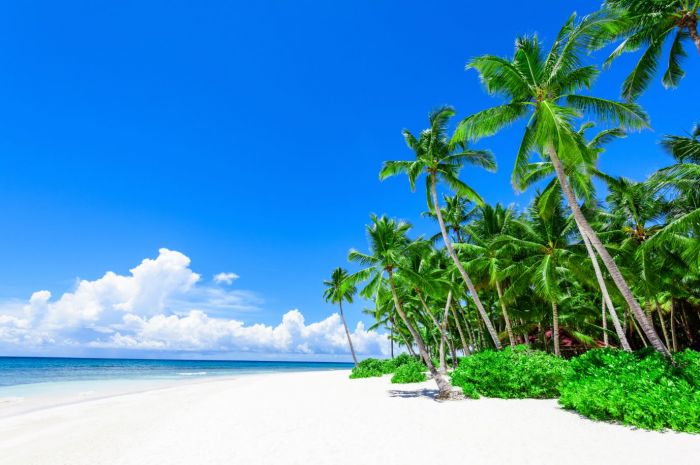 caribbeanjfsadff