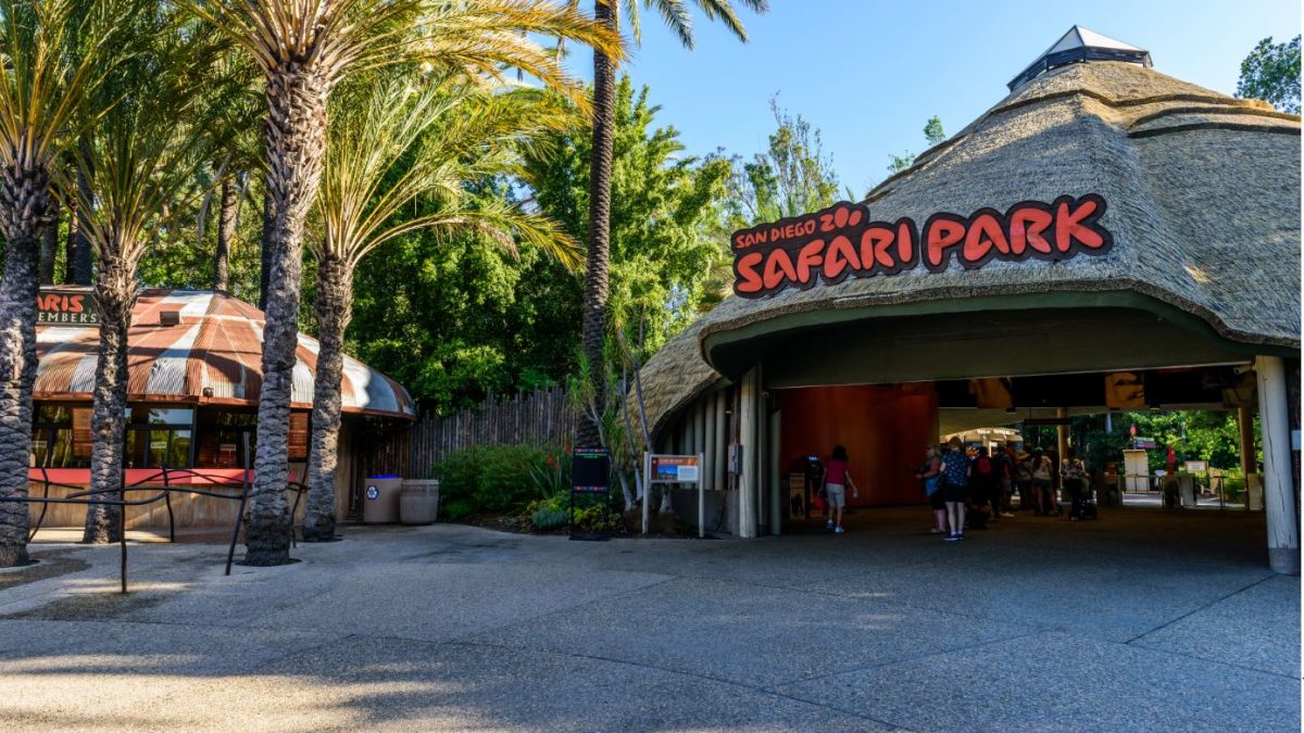 safariparksd-2