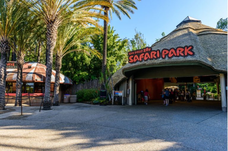 safariparksd-2