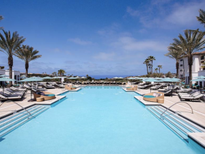 15919875145519-2
