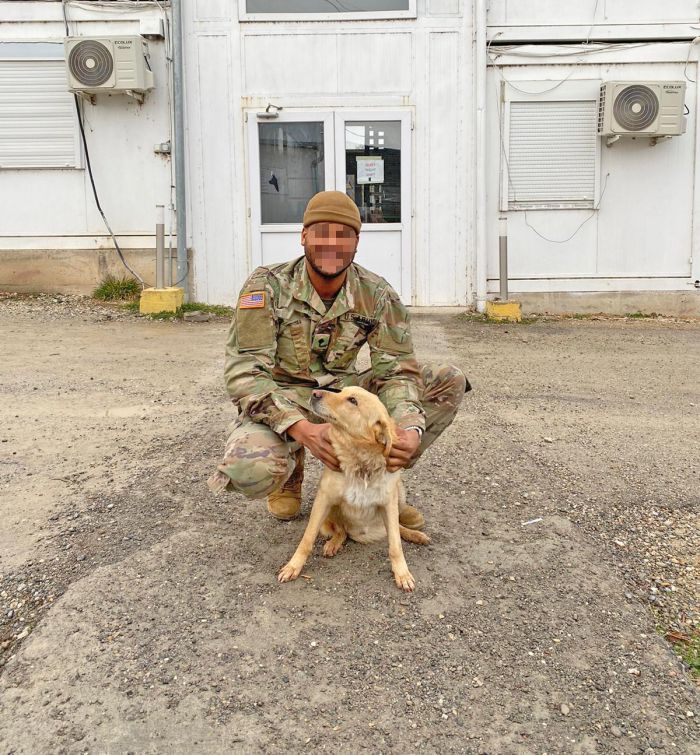Army Soldier Seeks Help Facing Biggest Rescue Mission of Dog Duke