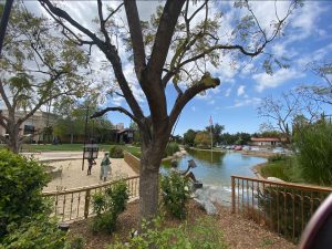 Captureconjovalley334