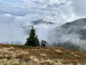 Capture56556565656565