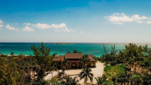 Yellowbird_May202153433