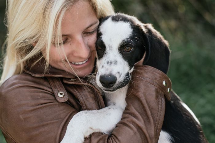 doggy_shutterstock_490503634-1